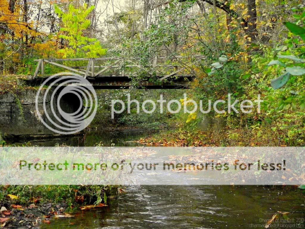 Autumn on a Pennsylvania Trout Stream Dharma of the Drift